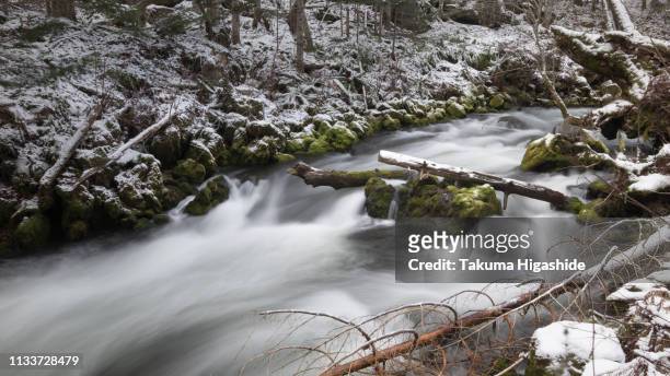 winter stream - 川岸 stock pictures, royalty-free photos & images