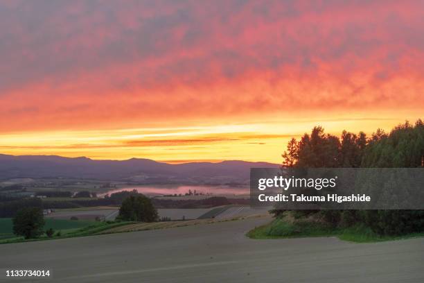 sunset hill - 田畑 stock pictures, royalty-free photos & images