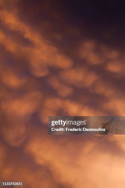 mammatus clouds. - lumière vive stock-fotos und bilder