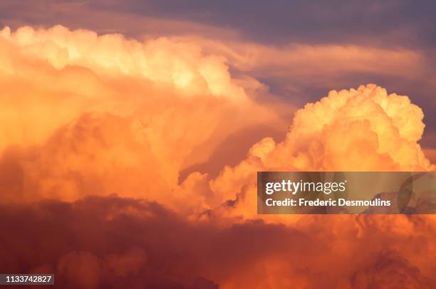 golden clouds - lumière vive stock pictures, royalty-free photos & images