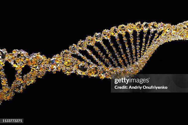 dna - dna double helix circle stock pictures, royalty-free photos & images
