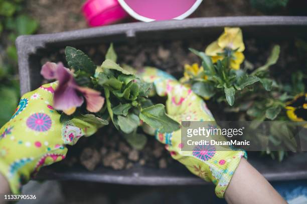 beautiful young woman gardening in the spring time - april stock pictures, royalty-free photos & images