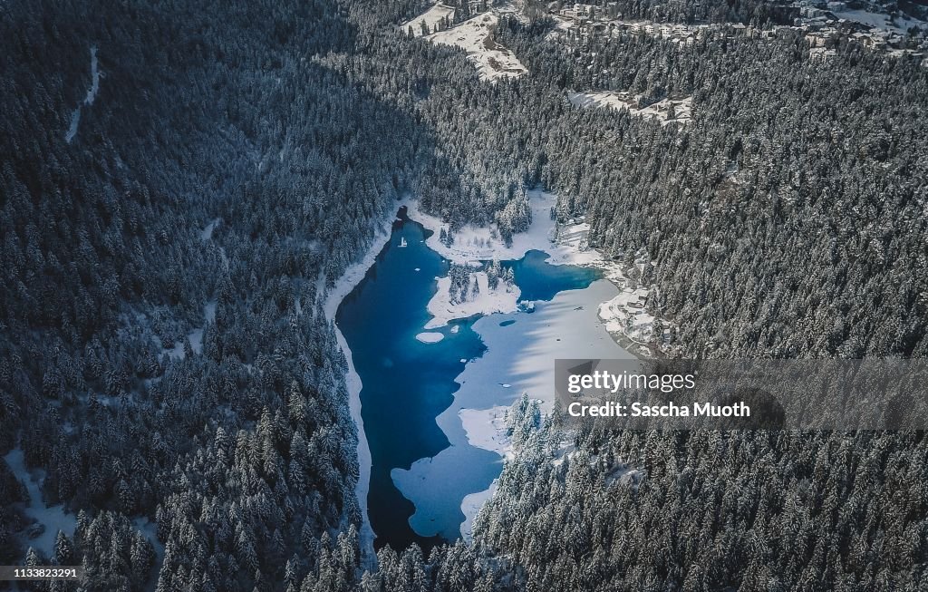 A lake in the woods