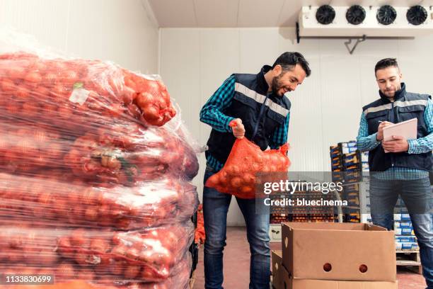 fresh vegetables in warehouse - cold storage room stock pictures, royalty-free photos & images