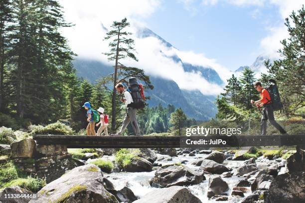 padres y niños caminando juntos en las montañas - trekking fotografías e imágenes de stock