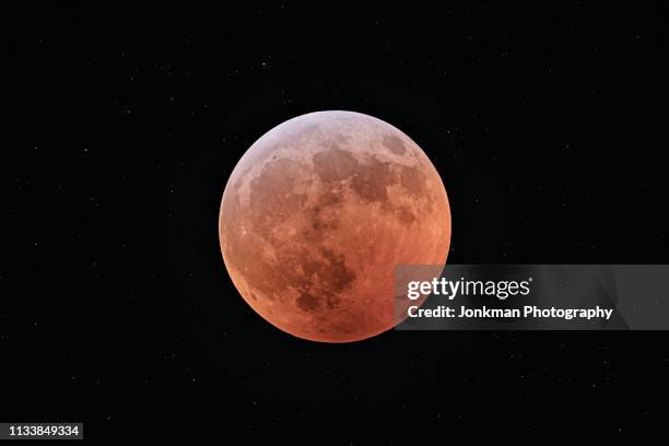 super wolf blood moon total eclipse - wolf moon stock-fotos und bilder