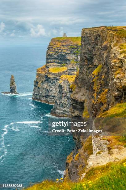 cliffs of moher in ireland - cliffs of moher stockfoto's en -beelden