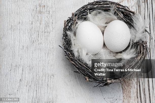 eggs in nest on white wooden background. easter. - hausdekor stockfoto's en -beelden