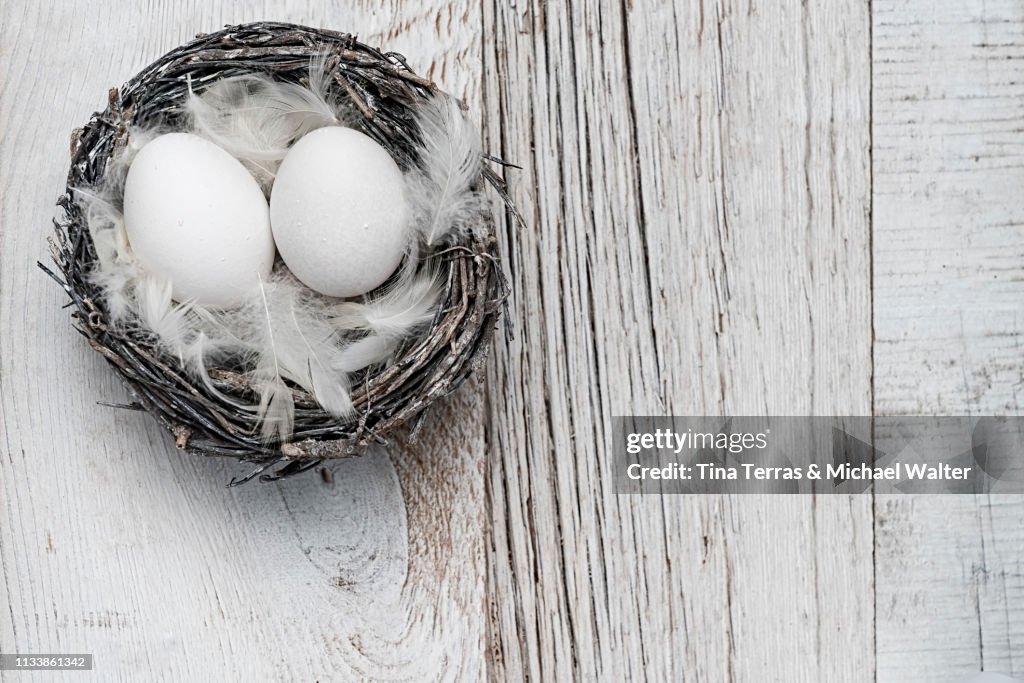 Eggs in nest on white wooden background. Easter.