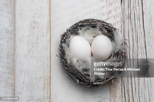 eggs in nest on white wooden background. easter. - fond holz stock pictures, royalty-free photos & images