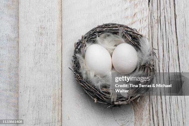 eggs in nest on white wooden background. easter. - festliches ereignis - fotografias e filmes do acervo