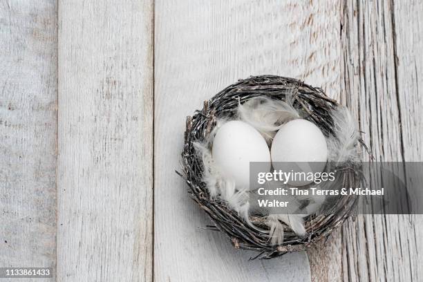 eggs in nest on white wooden background. easter. - stimmungsvolle umgebung imagens e fotografias de stock