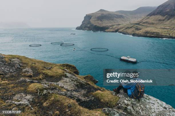 man looking at scenic  view of boat on sea  in faroe islands - faroe islands food stock pictures, royalty-free photos & images