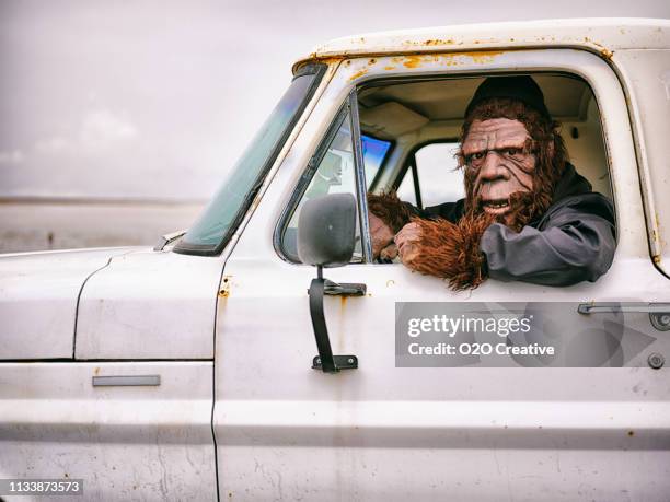 sasquatch truck driver - tierkostüm stock-fotos und bilder