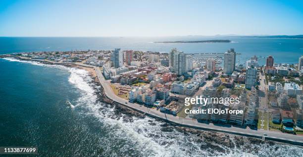 view of punta del este city, beach, ocean, skyline, gorriti island, aerial view, drone point of view, uruguay - uruguay ストックフォトと画像