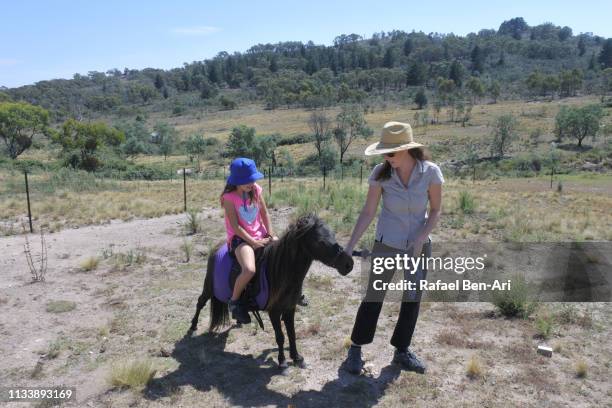 horse trainer leading a young girl on a pony horse - オーストラリア首都特別地域 ストックフォトと画像