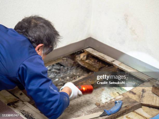 surveying the underfloor space. - mofo imagens e fotografias de stock