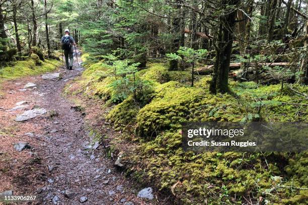 hiker near summit of mt. leconte, great smoky mountains national park - hiking appalachian trail stock pictures, royalty-free photos & images