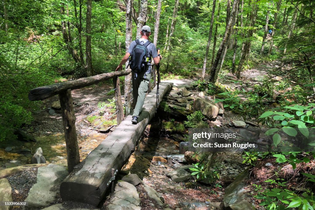 Hiker Crossing Footbridge, Alum Cave Nature Trail, Great Smoky Mountains National Park