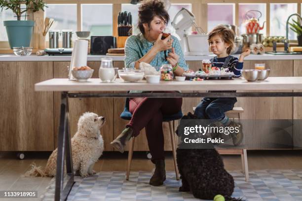 mom and son tasting birthday muffins - party under stock pictures, royalty-free photos & images