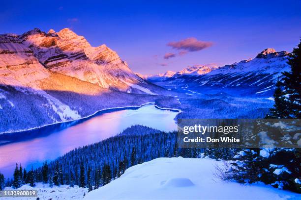 winter in banff national park in alberta canada - peyto lake stock pictures, royalty-free photos & images