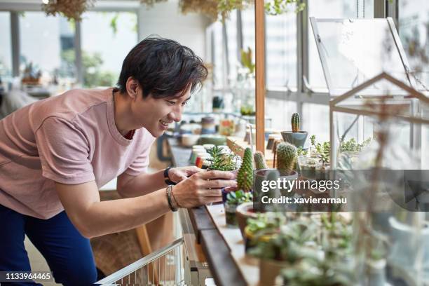 smiling owner looking at succulent plants in store - man pottery stock pictures, royalty-free photos & images