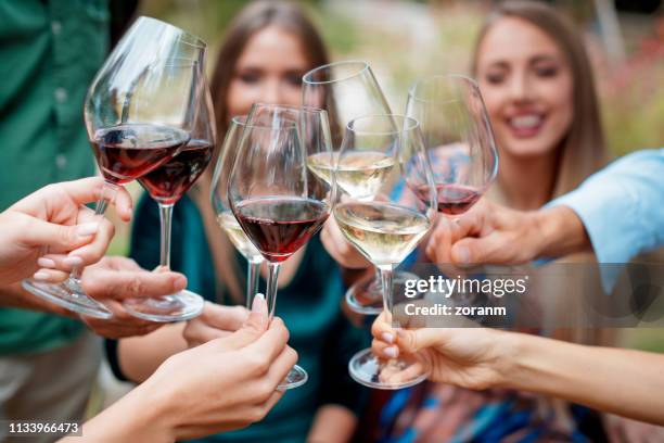 vänner rostning med vin - vinprovning bildbanksfoton och bilder