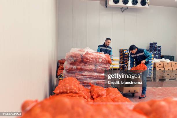 fresh vegetables in warehouse - cold storage room stock pictures, royalty-free photos & images