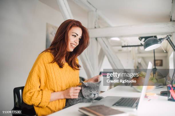 woman electronic banking and petting a cat - cat laptop stock pictures, royalty-free photos & images