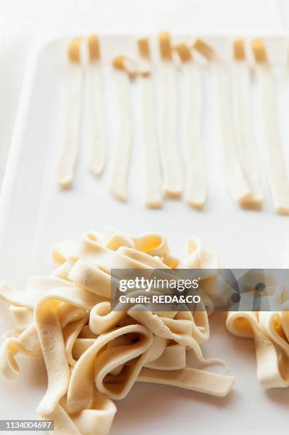 Fresh hand made pasta, fettuccine, Il Giardino Di Epicuro restaurant, the epicurean garden, Maratea, Basilicata, Italy, Europe.