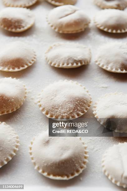 Fresh hand made pasta, Ravioli filled with ricotta cheese, Il Giardino Di Epicuro restaurant, the epicurean garden, Maratea, Basilicata, Italy,...
