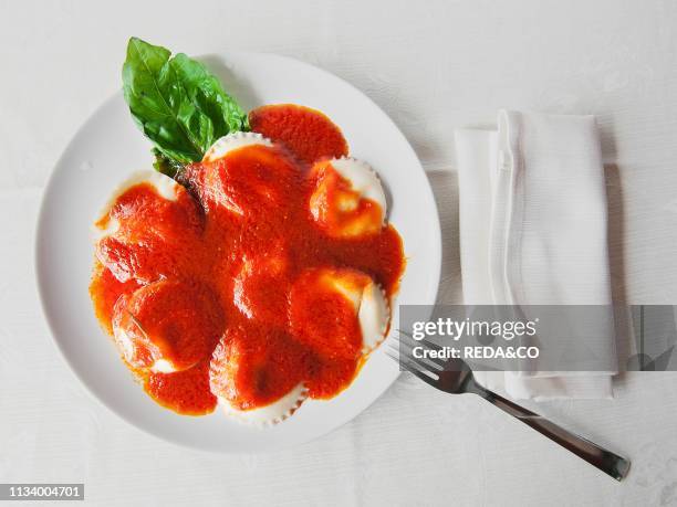 Fresh hand made pasta, ravioli filled with ricotta cheese, with fresh tomatoe souce and organic basil, Il Giardino Di Epicuro restaurant, the...
