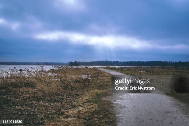 spring is coming - molnlandskap stock pictures, royalty-free photos & images