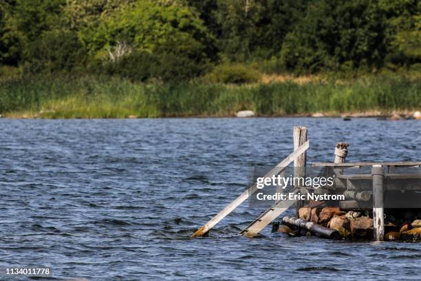 lets take a swim - resande imagens e fotografias de stock