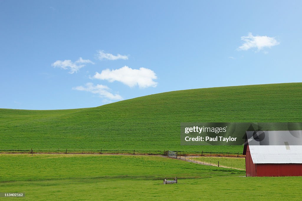 Green Hills and Red Barn