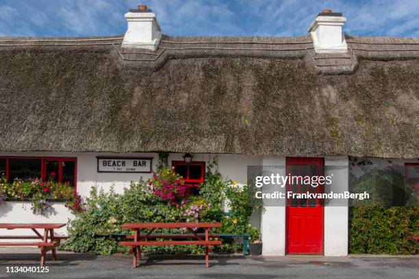 cabaña con techo de paja - irish pub fotografías e imágenes de stock