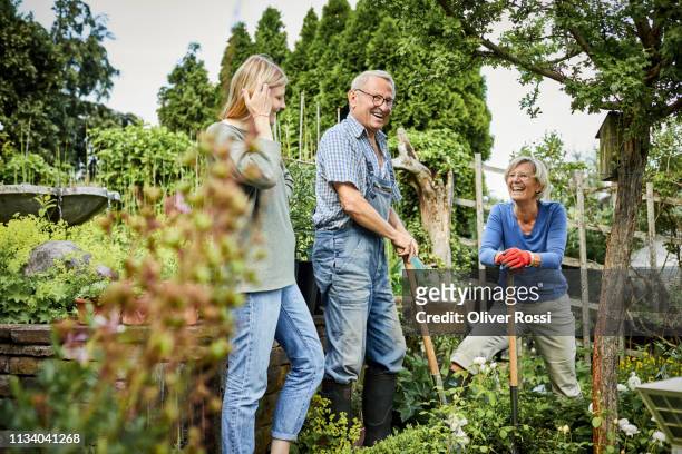 happy adult granddaughter and grandparents working in garden - freizeit stock-fotos und bilder