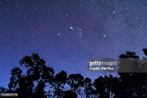 Orion setting in deep twilight sky with stars in abundance but the sky still deep blue, from Australia with Orion “upside down” The Saucepan asterism...