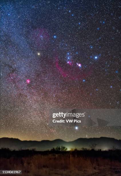 Orion and Sirius rising over the Peloncillo Mountains of southwest New Mexico, on a clear night in December in the early evening The Belt stars of...