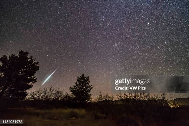 Single bright meteor from the Geminid meteor shower of December 2017, dropping toward the horizon in Ursa Major Gemini itself and the radiant of the...