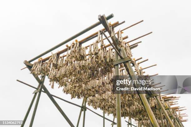Fish Processing Drying Rack Fish Drying Racks Photos and Premium High Res Pictures - Getty Images