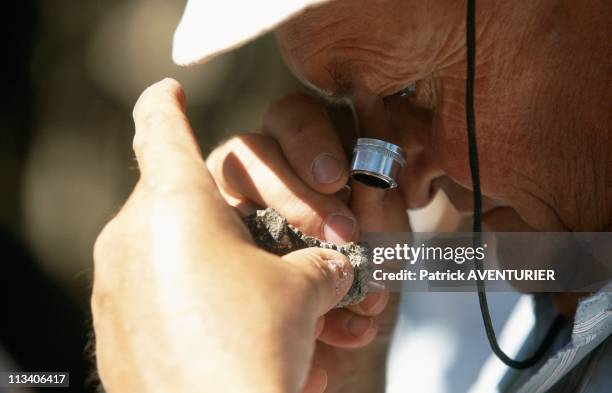 Mankind'S Eldest Ancestor Has Been Found On December 1St, 1998 In Myanmar - Paleontologist Jaeger Examining A Mandible Of Pondaungia Cotteri