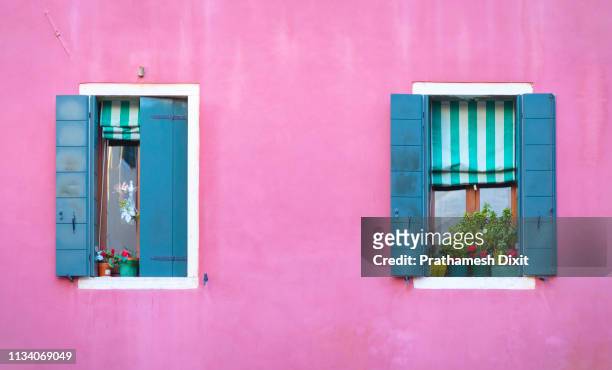 venice italy - beautiful pink wall with two blue windows - vegetação mediterranea imagens e fotografias de stock