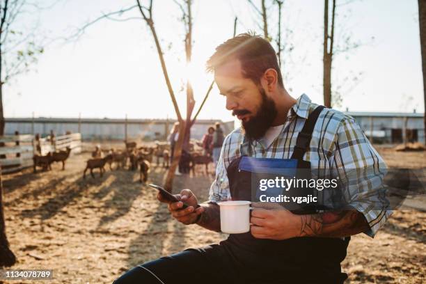 small farm owners - goat farm - coffee farm stock pictures, royalty-free photos & images