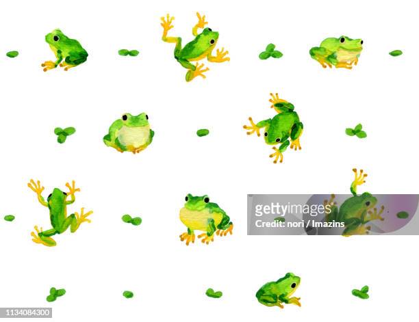watercolor pattern of green frog - abundance stock-grafiken, -clipart, -cartoons und -symbole