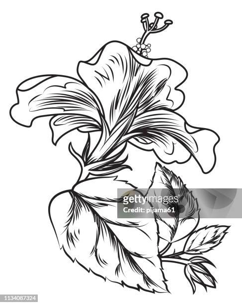 black and white hibiscus - black and white flower tattoo designs stock illustrations