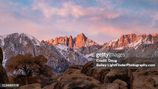 mt whitney from alabama hills - berg mount whitney stock-fotos und bilder