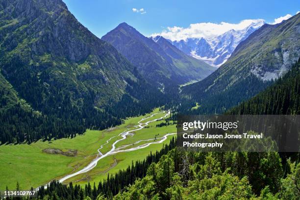 panoramic view of a beautiful valley in kyrgyzstan - montañas de tien shan fotografías e imágenes de stock