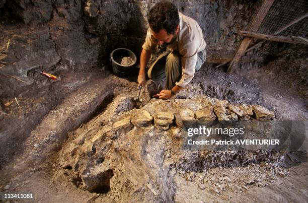 Eric Buffetaut, Dinosaur Hunter On July 7th, 1993 - Eric Buffetaut Clearing Vertebrae Of Sauropoda.