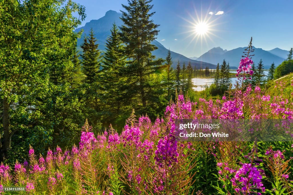 Banff National Park in Alberta Canada